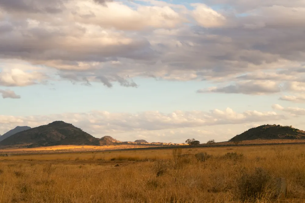 Étendue de savane africaine sous un ciel nuageux
