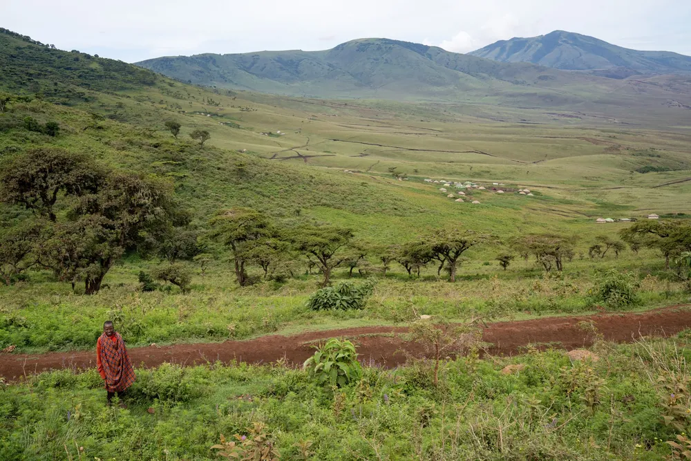 Habitant maasaï marchant le long d'une route bordée de collines verdoyantes