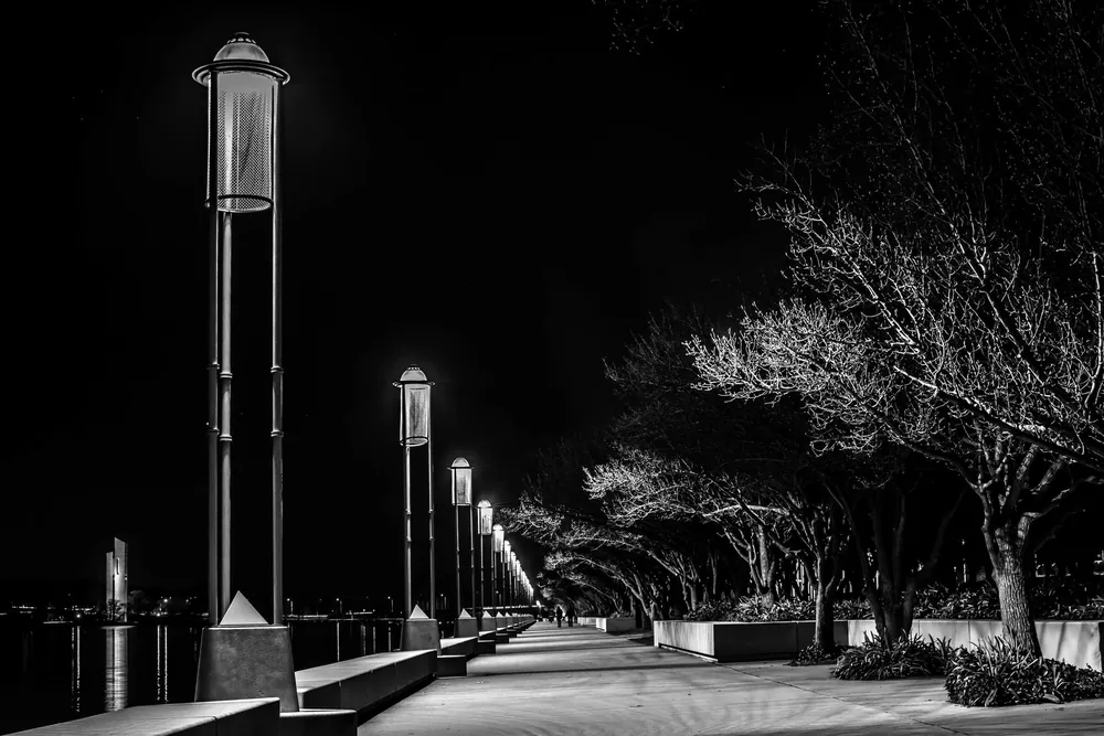 Allée bordée d'arbres illuminée la nuit dans les rues de Canberra