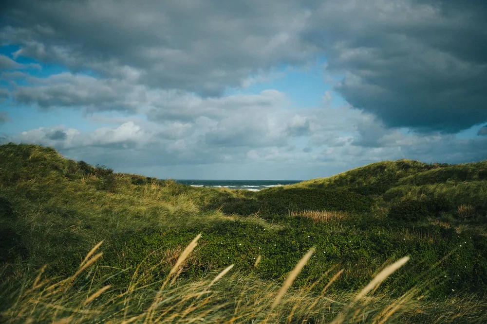 Paysage côtier paisible aux dunes herbeuses sous un ciel nuageux danois