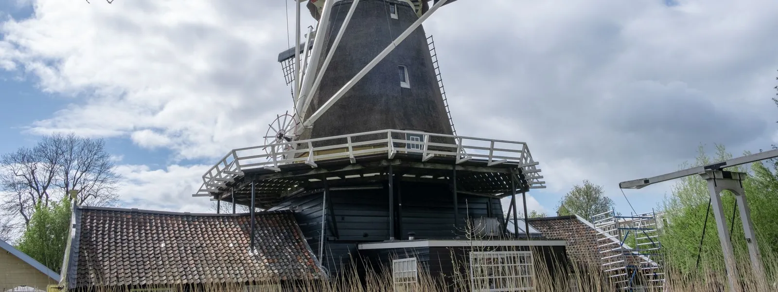 Moulin à vent traditionnel dans un cadre rural typique des Pays-Bas