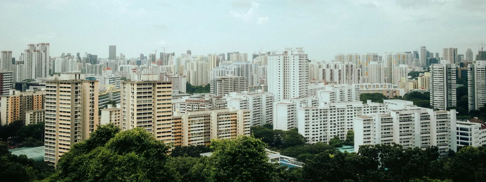 Vue aérienne des tours modernes de Singapour entourées de verdure