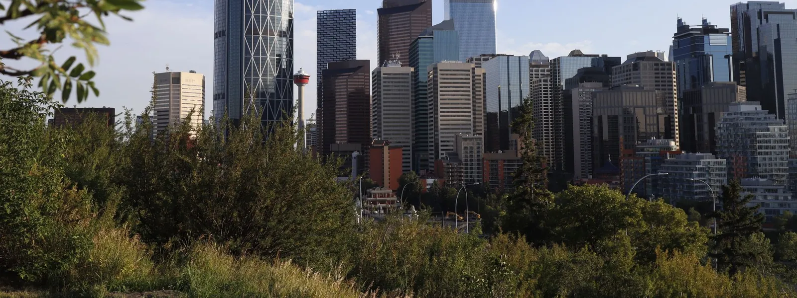 Gratte-ciels modernes de Calgary entourés de verdure sous un ciel dégagé