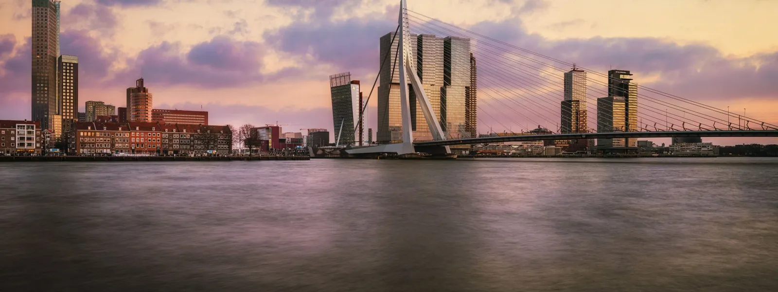 Skyline de Rotterdam et pont Erasmus illuminés au crépuscule sur la Meuse