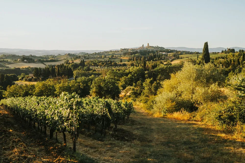 Vignobles vallonnés de Toscane au coucher du soleil